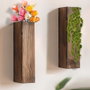 Hanah Home Raf281 Estantería de Pared de Madera Maciza (2 piezas)